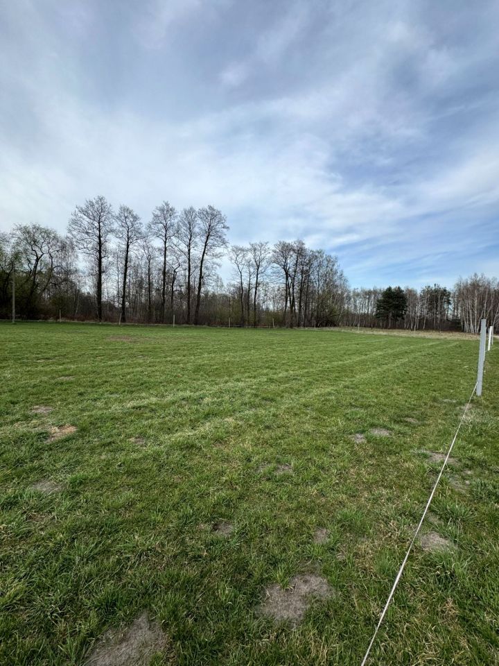 Działka budowlana Sade Budy. Zdjęcie 4