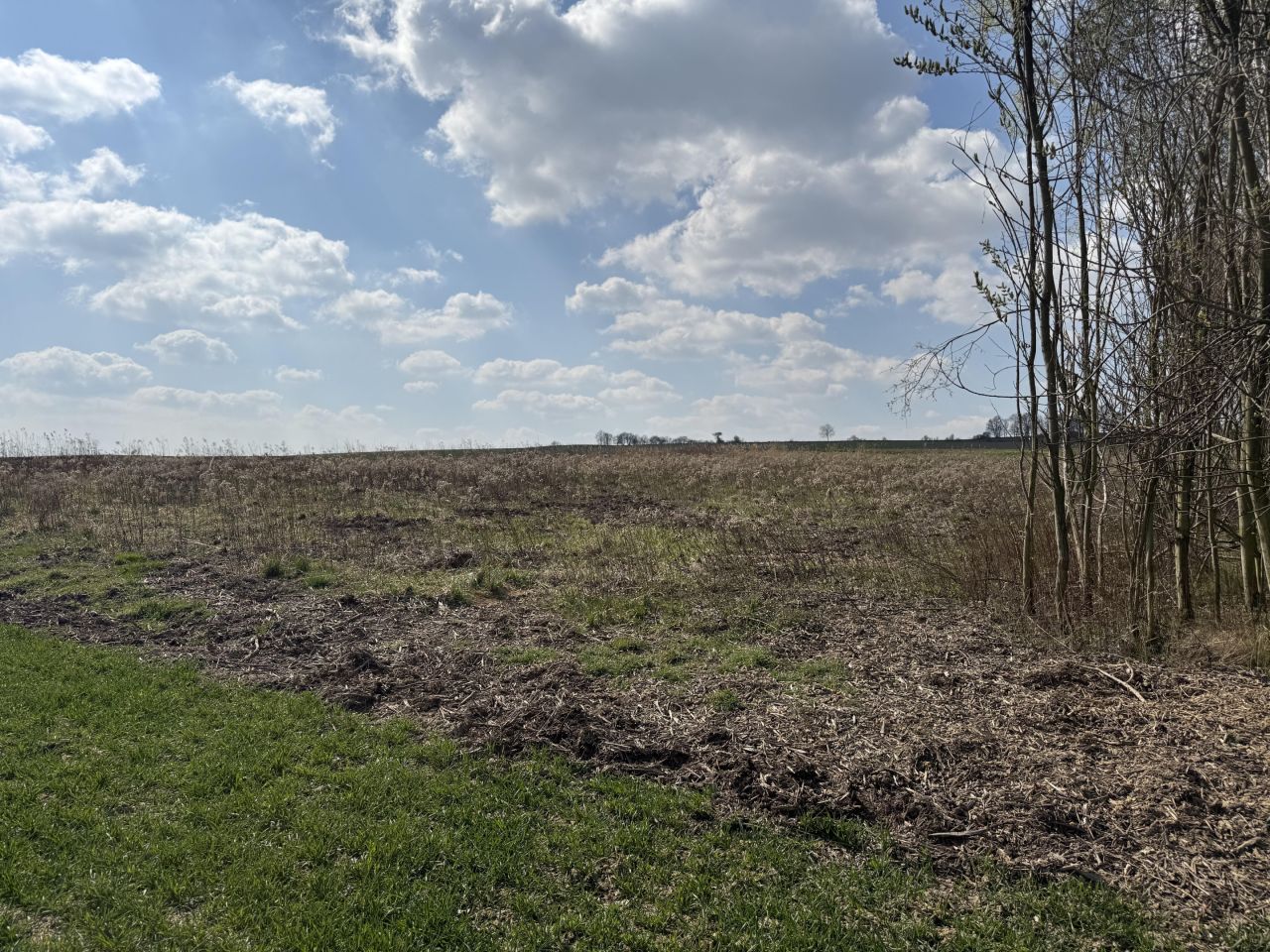 Działka budowlana Kruków, ul. Tarnawska. Zdjęcie 11