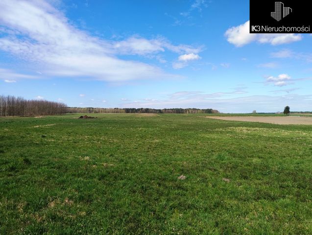 Lokal Janówek. Zdjęcie 7