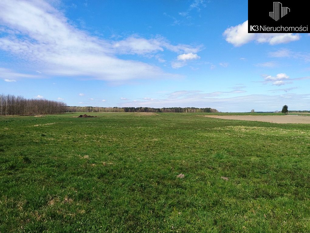 Lokal Janówek. Zdjęcie 7