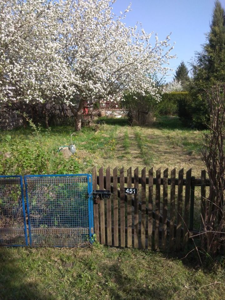 Działka rod Ostrów Wielkopolski, ul. Spichrzowa. Zdjęcie 6