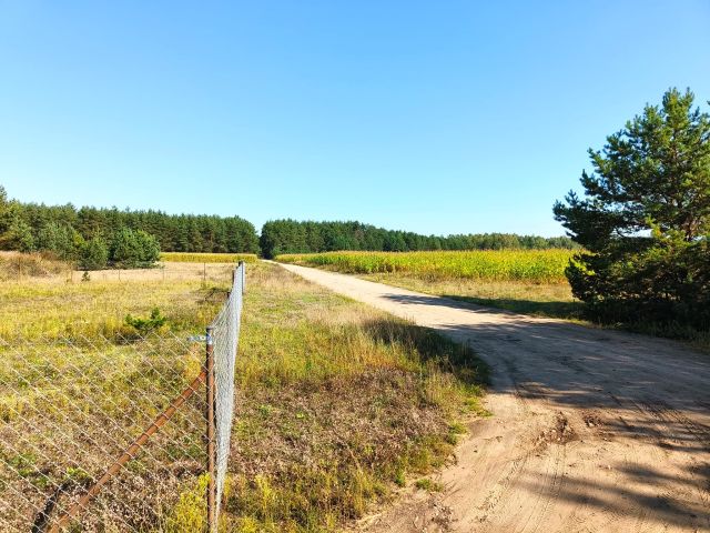 Działka siedliskowa Pełty. Zdjęcie 4