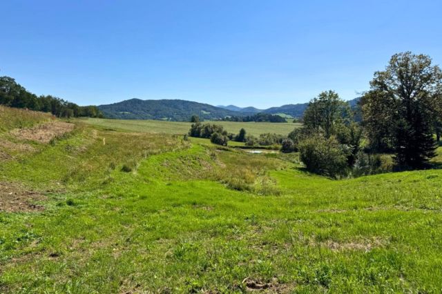 Działka budowlana Kiełczawa. Zdjęcie 7