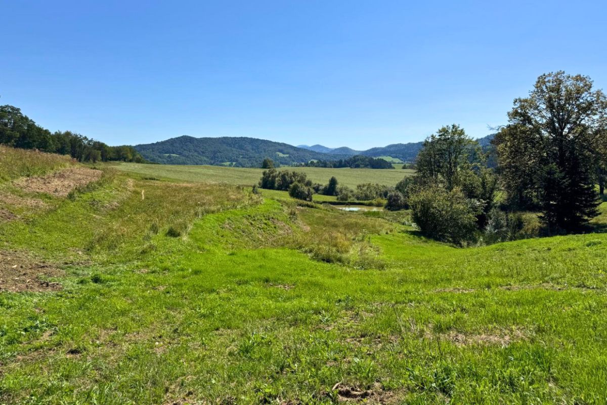 Działka budowlana Kiełczawa. Zdjęcie 7