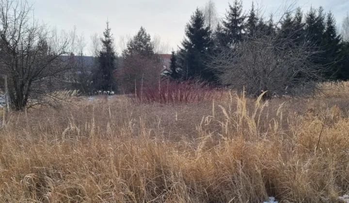 Działka budowlana Rusiec