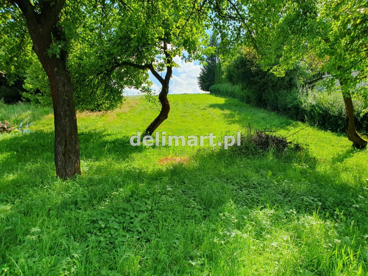 Działka rolna Sanok, ul. Sucha. Zdjęcie 3