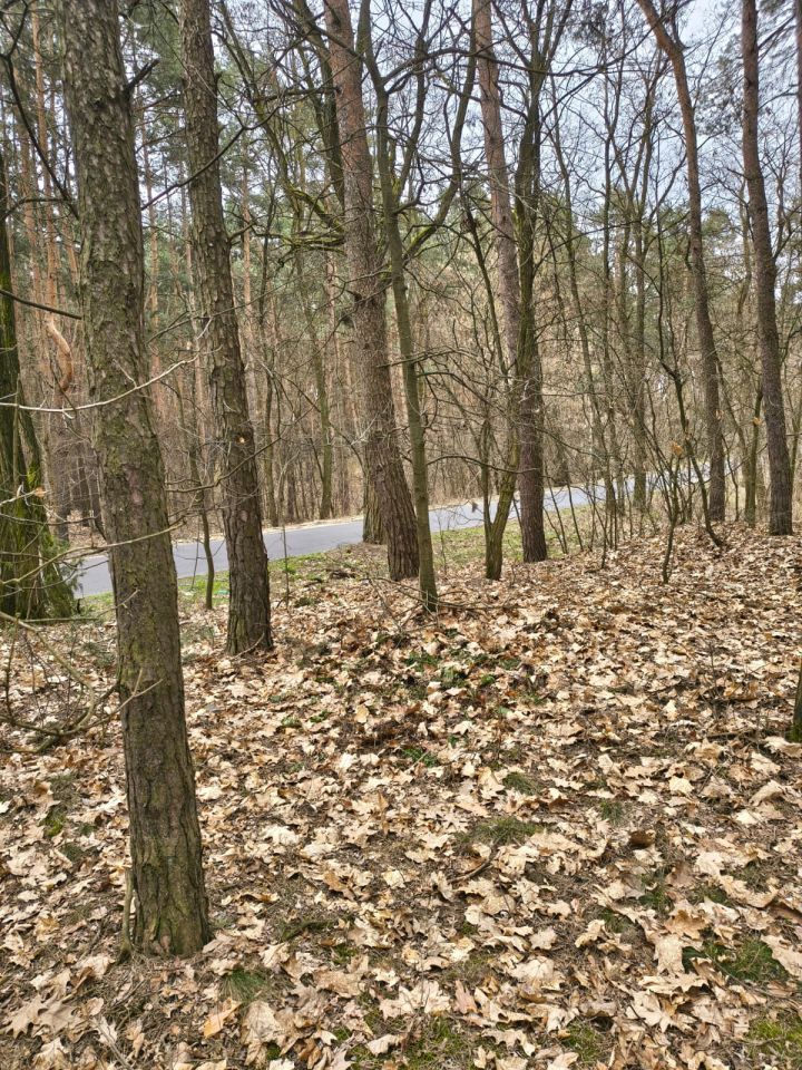 Działka budowlana Ziewanice. Zdjęcie 2