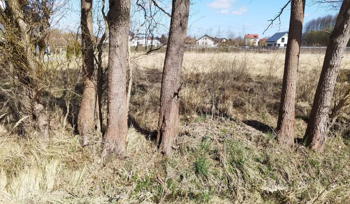 Działka budowlana Drezdenko, ul. Makowa