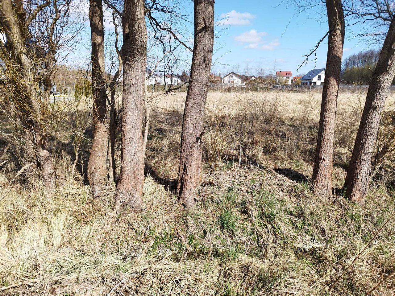 Działka budowlana Drezdenko, ul. Makowa. Zdjęcie 1