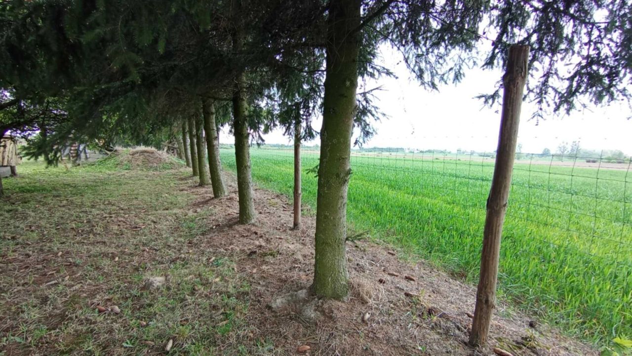 Działka budowlana Wronowice. Zdjęcie 6