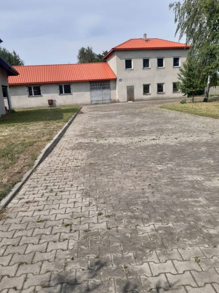 Hala/magazyn Łódź Widzew, ul. Brzezińska. Zdjęcie 3