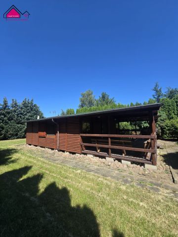 Działka rekreacyjna Złotowo. Zdjęcie 5