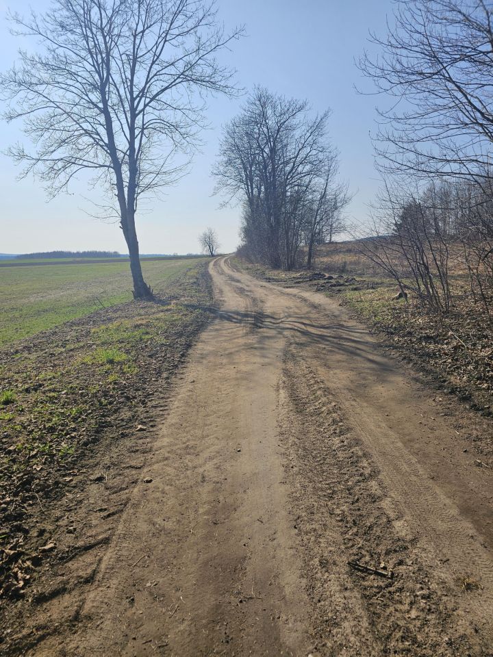 dom wolnostojący, 2 pokoje Dargikowo. Zdjęcie 2