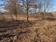 Działka rekreacyjna Poręba Żegoty. Zdjęcie 3