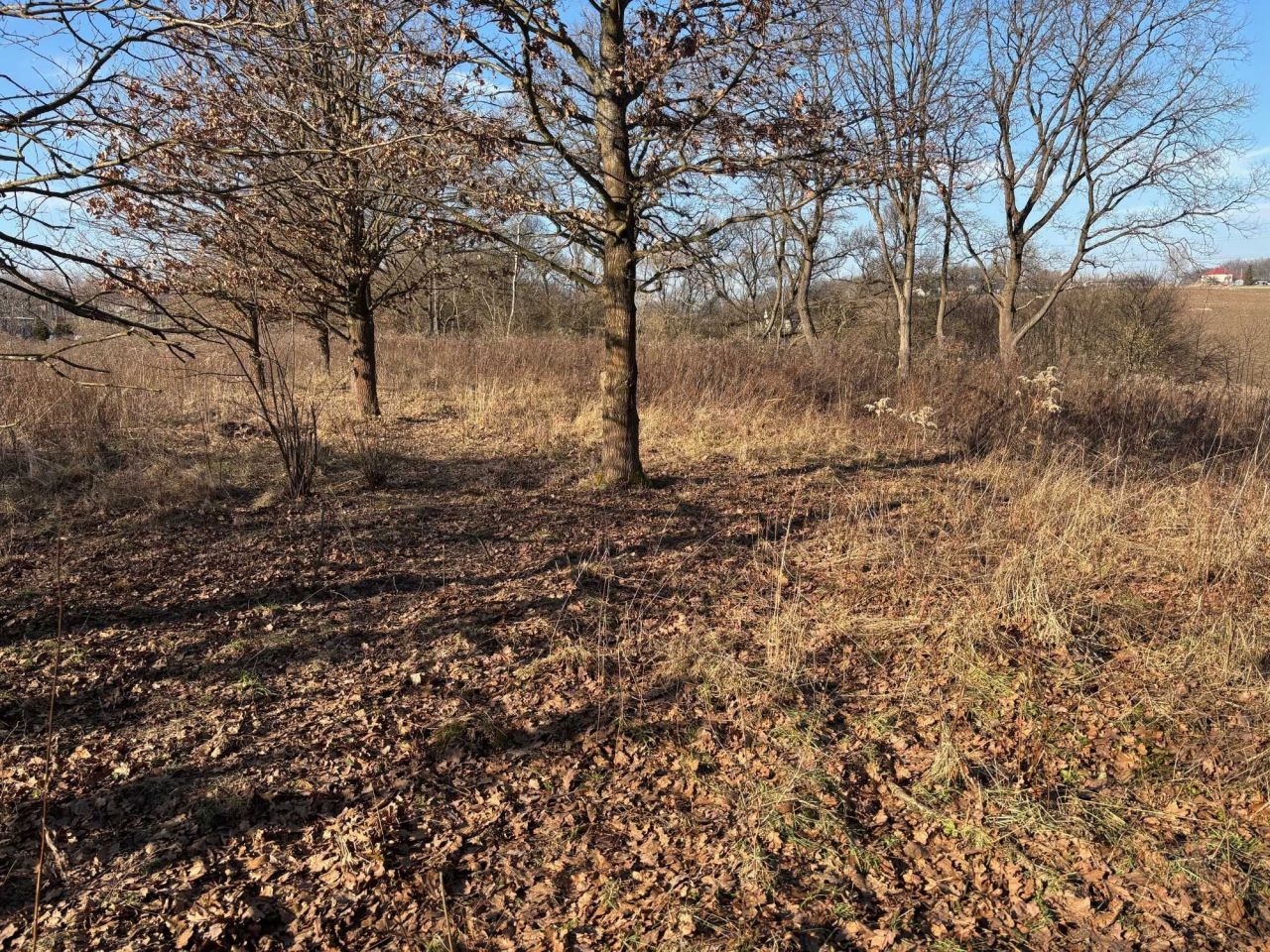 Działka rekreacyjna Poręba Żegoty. Zdjęcie 4