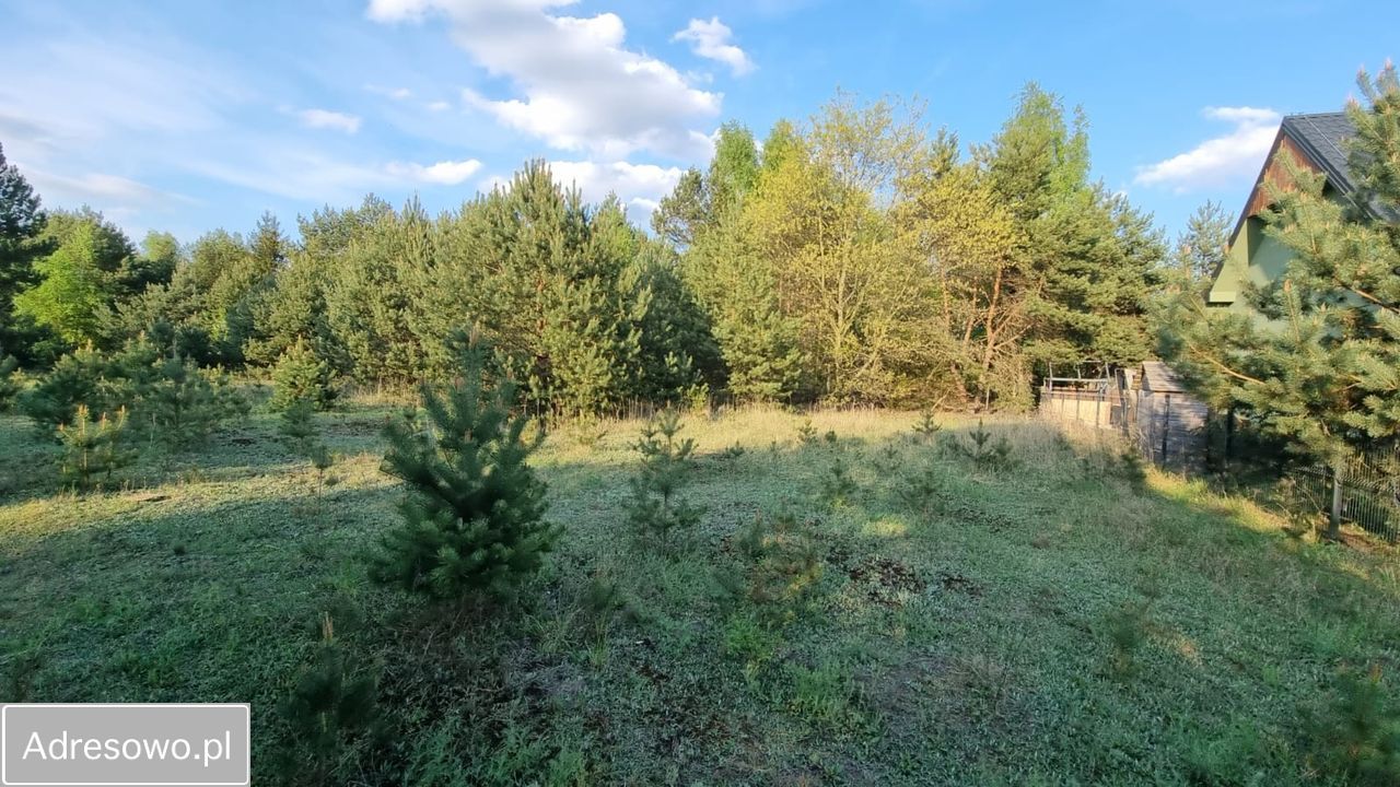 Działka budowlana Powązki, ul. Jarzębinowa. Zdjęcie 5
