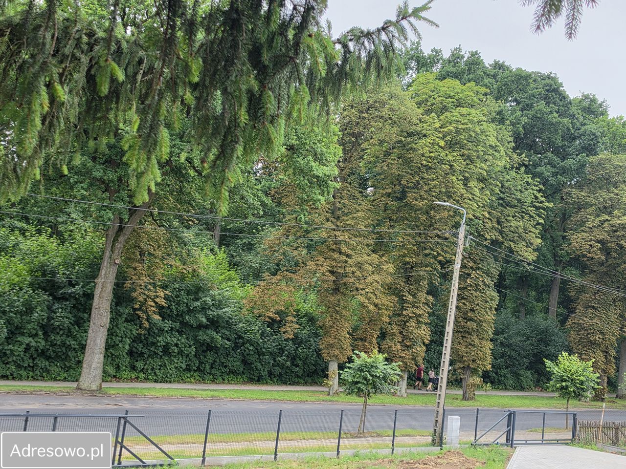 dom wolnostojący, 6 pokoi Skępe, ul. Klasztorna. Zdjęcie 9