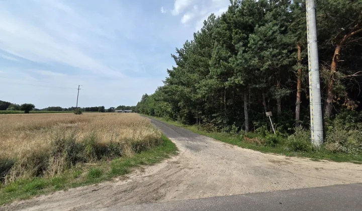 Działka leśna Ruda Jeżewska