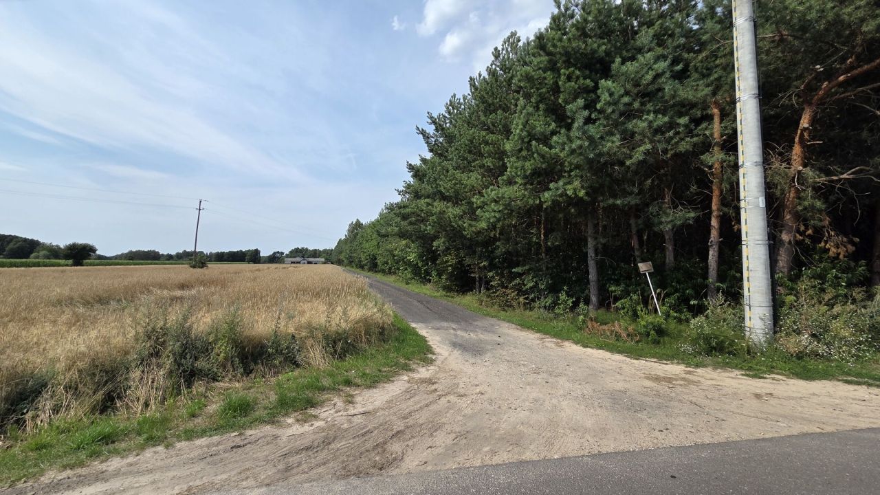 Działka leśna Ruda Jeżewska. Zdjęcie 1