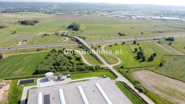 Działka inwestycyjna Krzeczów. Zdjęcie 3