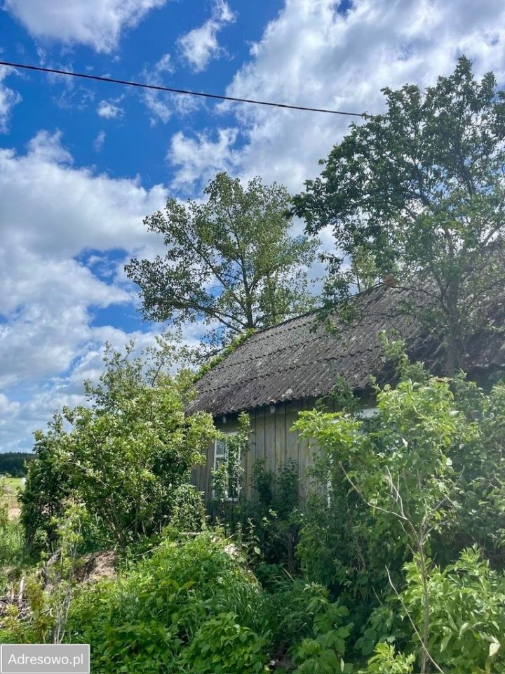 Działka siedliskowa Stegna. Zdjęcie 4