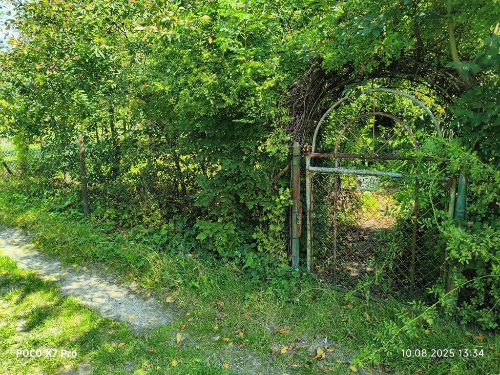 Działka rod Jawor, ul. Piastowska. Zdjęcie 4