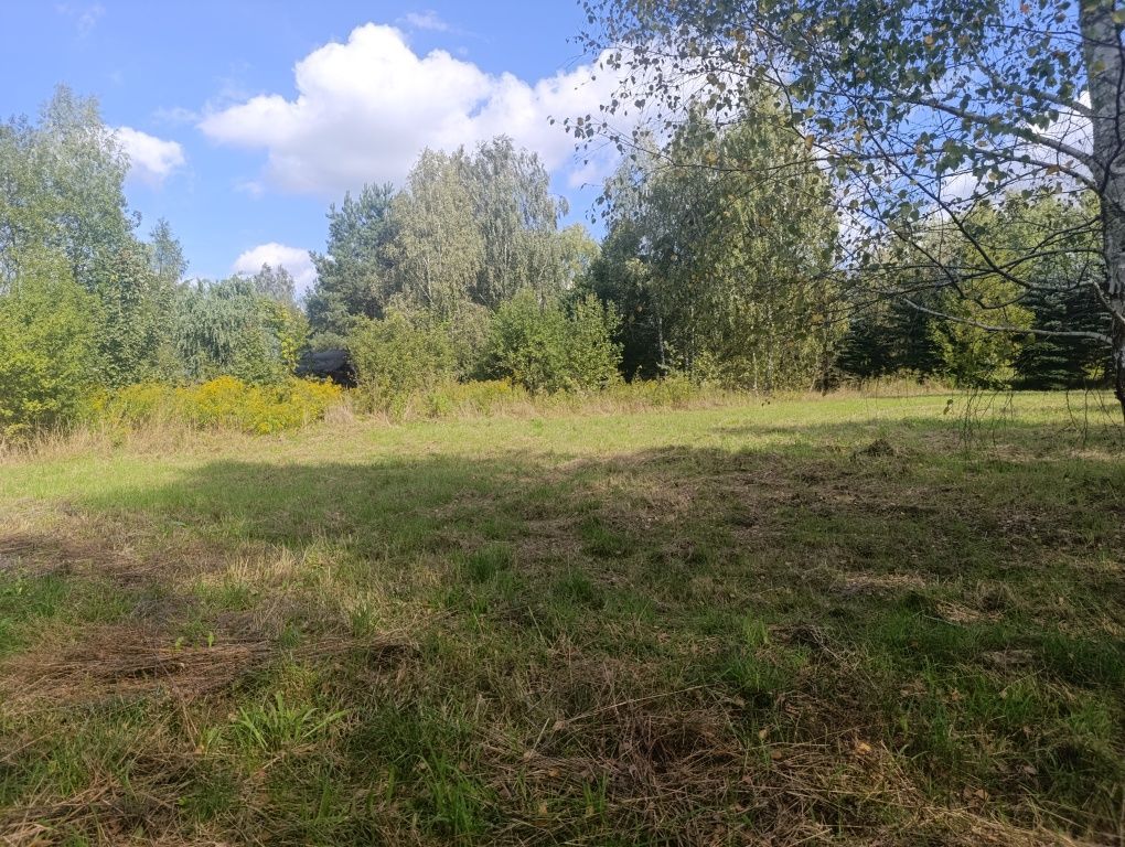 Działka budowlana Anielew