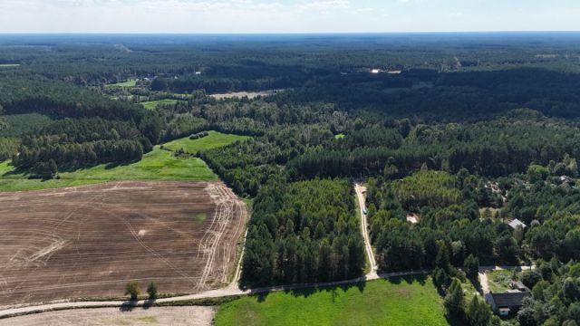 Działka budowlana Osowo Leśne. Zdjęcie 5