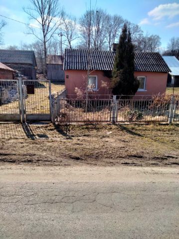 Działka siedliskowa Pliszczyn. Zdjęcie 1