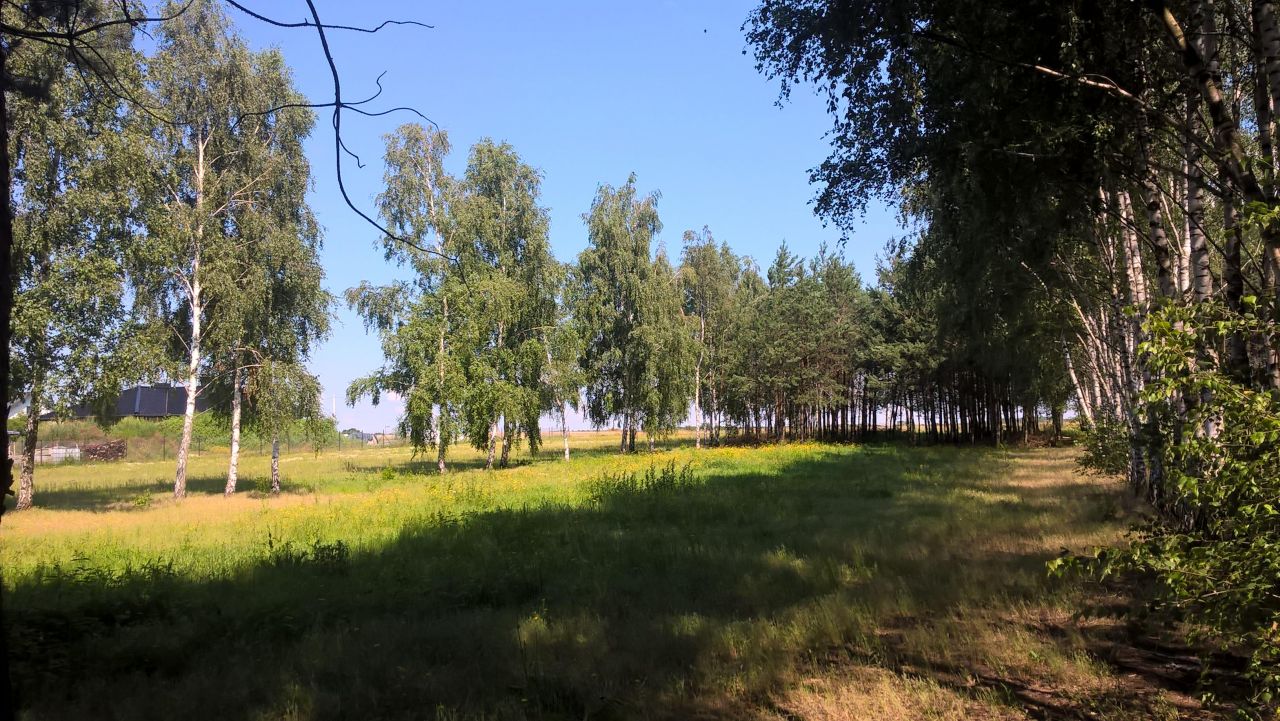 Działka rolno-budowlana Jaskółowo. Zdjęcie 2