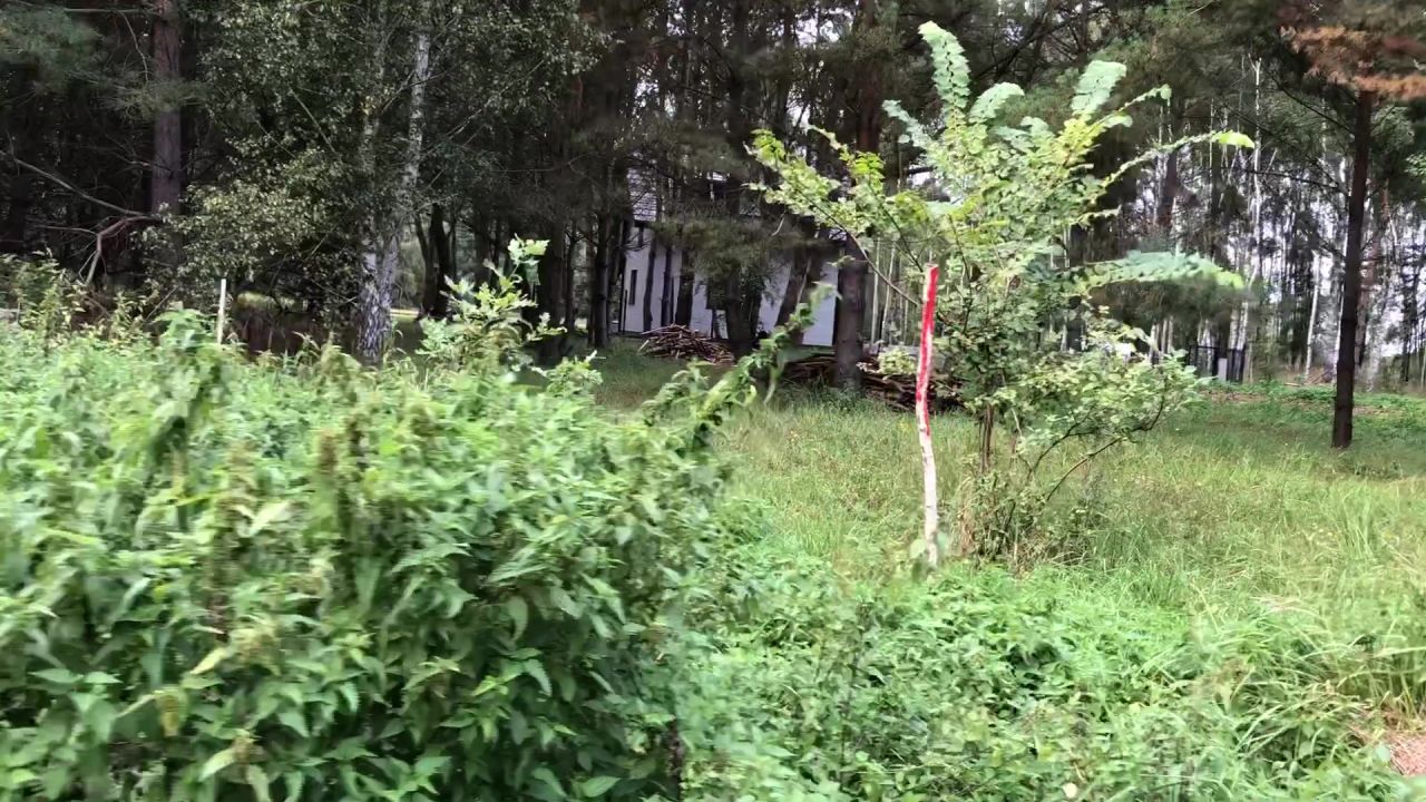 Działka rekreacyjna Chłopowo. Zdjęcie 6