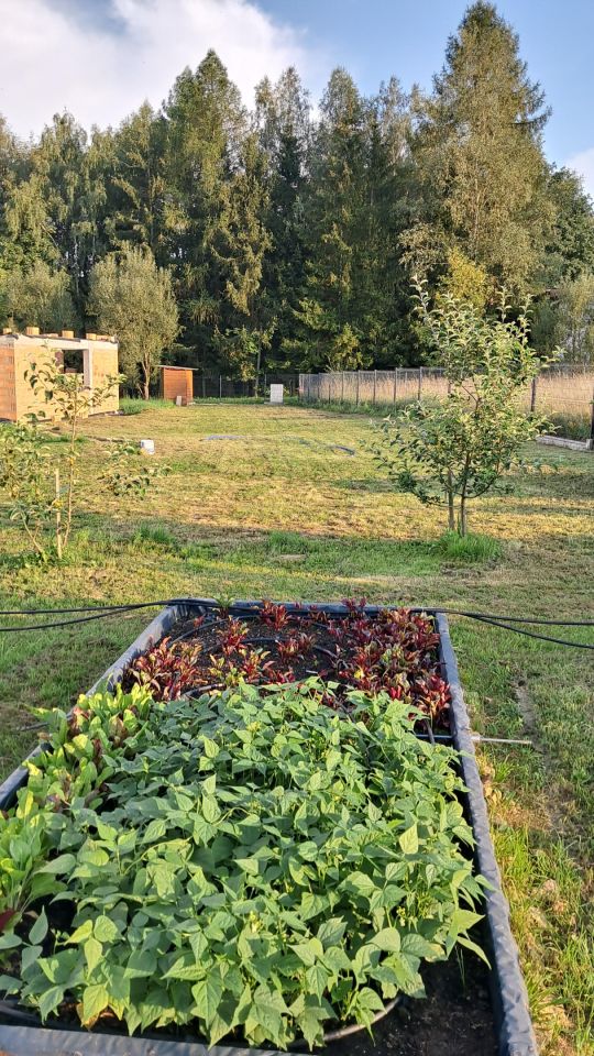 dom wolnostojący, 3 pokoje Chocieszów. Zdjęcie 29