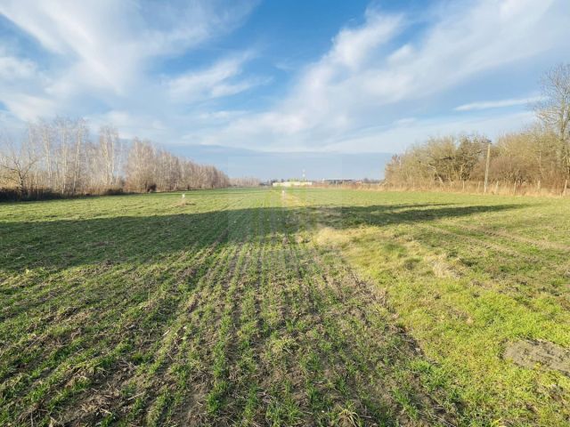 Działka budowlana Dębówka. Zdjęcie 8