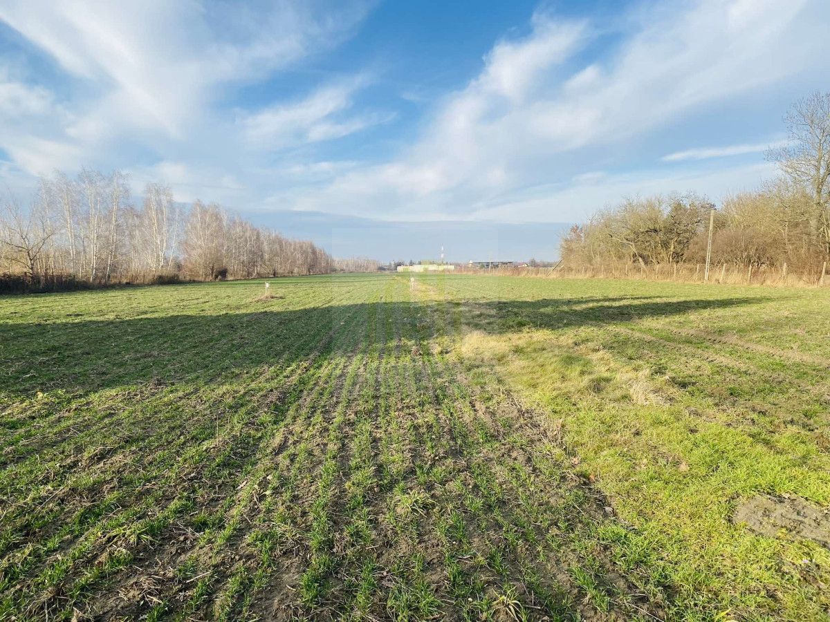 Działka budowlana Dębówka. Zdjęcie 8