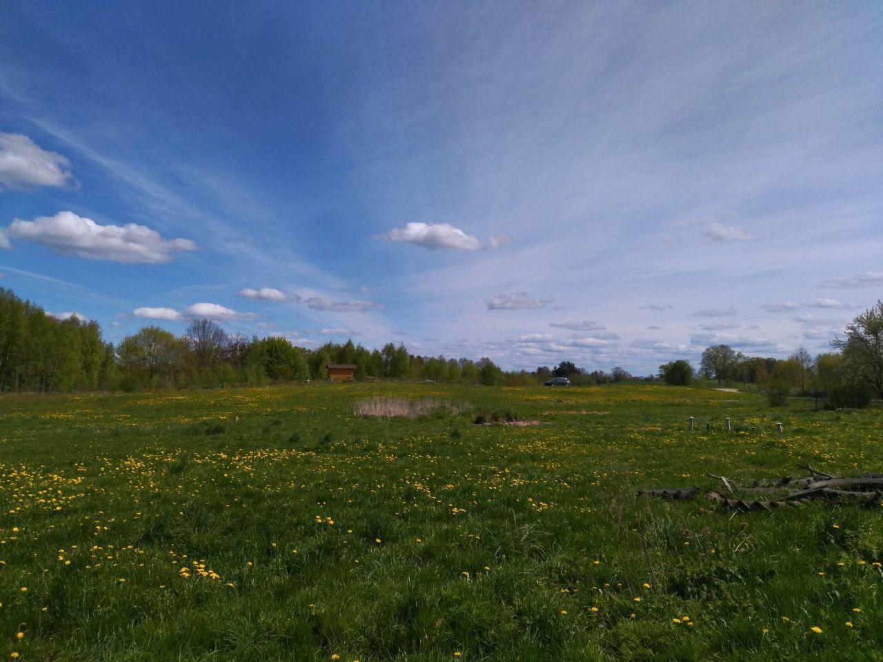 Działka rekreacyjna Raj. Zdjęcie 6