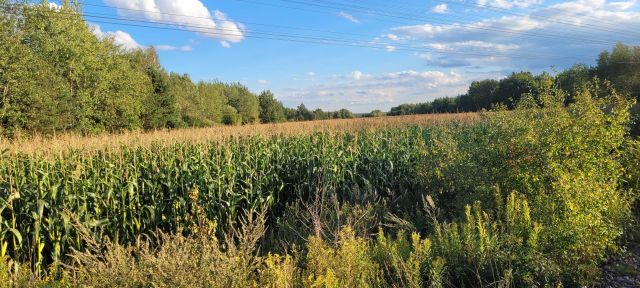 Działka inwestycyjna Lubaczów. Zdjęcie 1