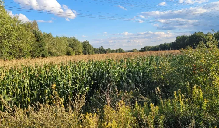 Działka inwestycyjna Lubaczów