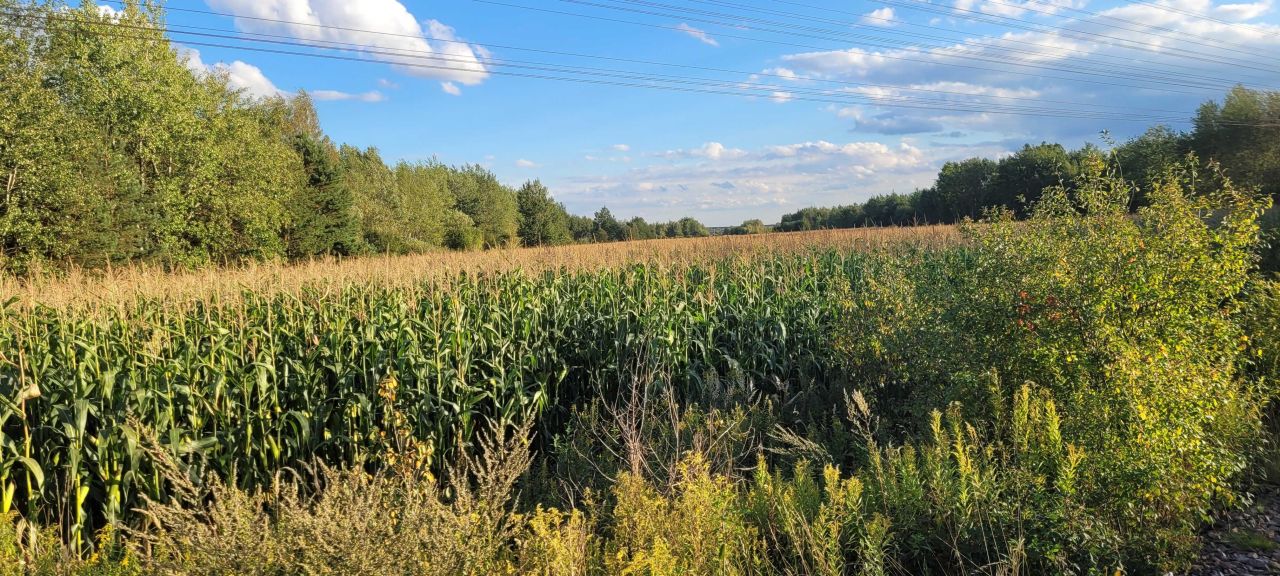 Działka inwestycyjna Lubaczów. Zdjęcie 1