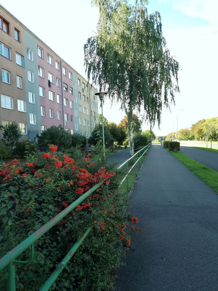 Mieszkanie 3-pokojowe Oława, pl. Karola Szymanowskiego. Zdjęcie 19
