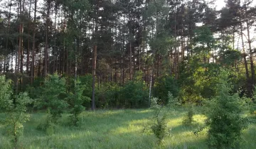 Działka na sprzedaż bez pośredników 
 
 Stary Lubiel - Widok 5