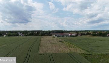 Działka rolno-budowlana Maszewo, ul. Lawendowa