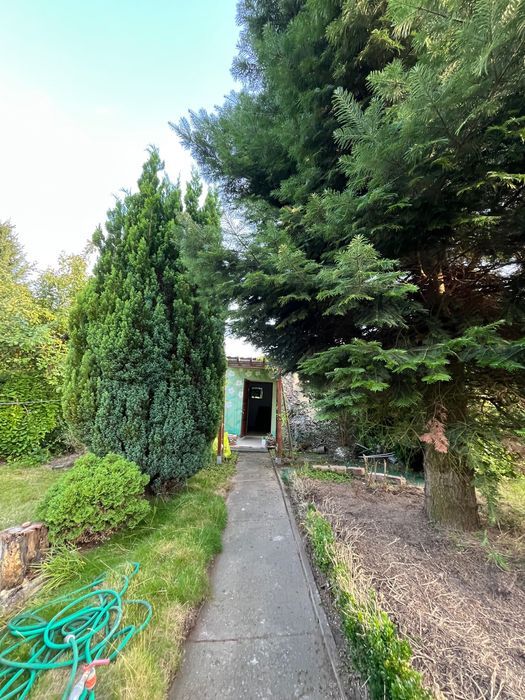 Działka rod Gryfino, ul. Armii Krajowej