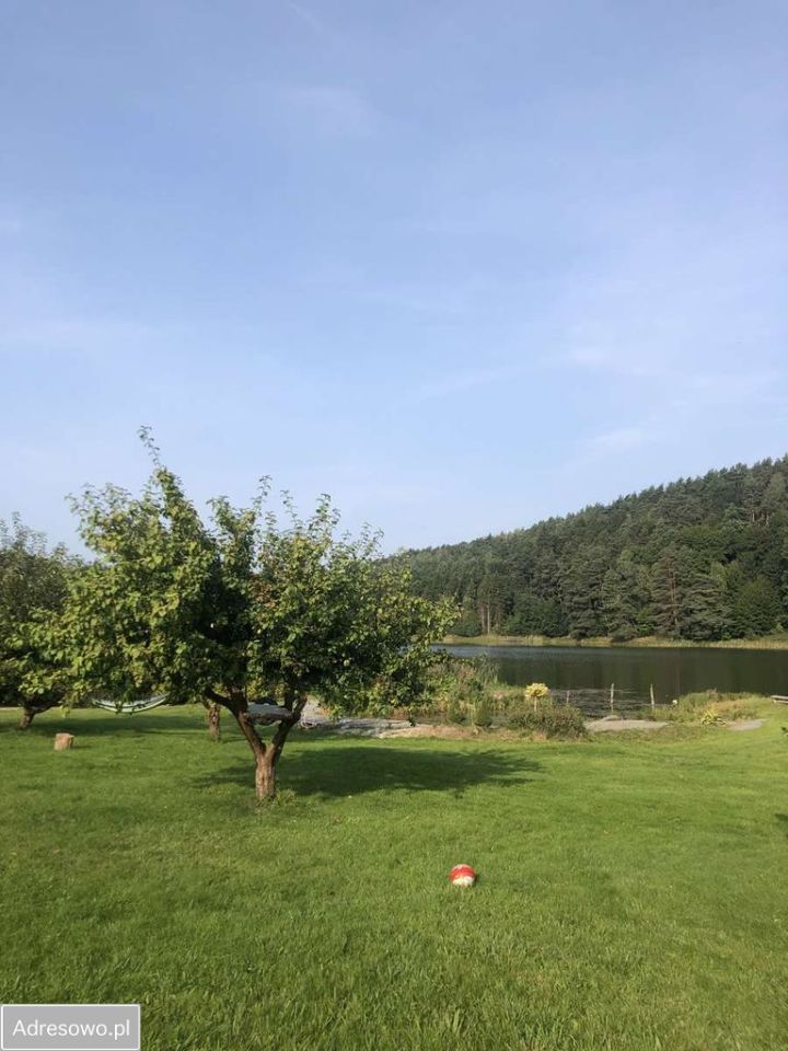 Działka budowlana Wolny Dwór. Zdjęcie 5