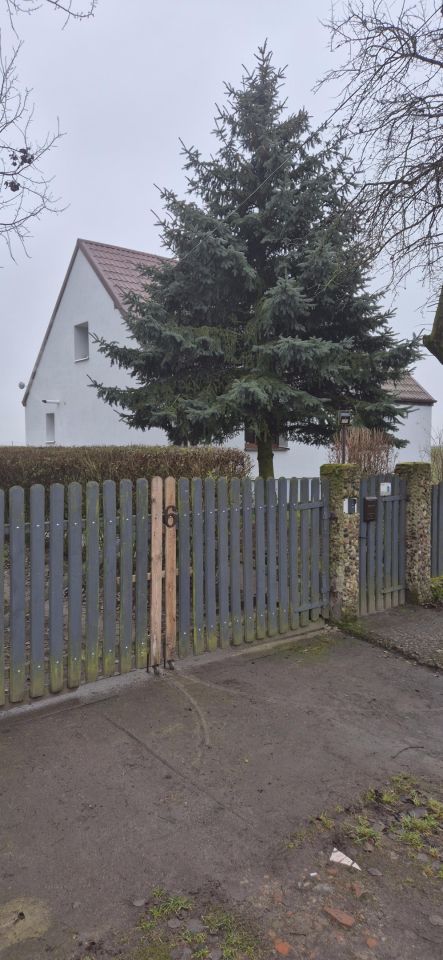 dom wolnostojący, 4 pokoje Michalin. Zdjęcie 15