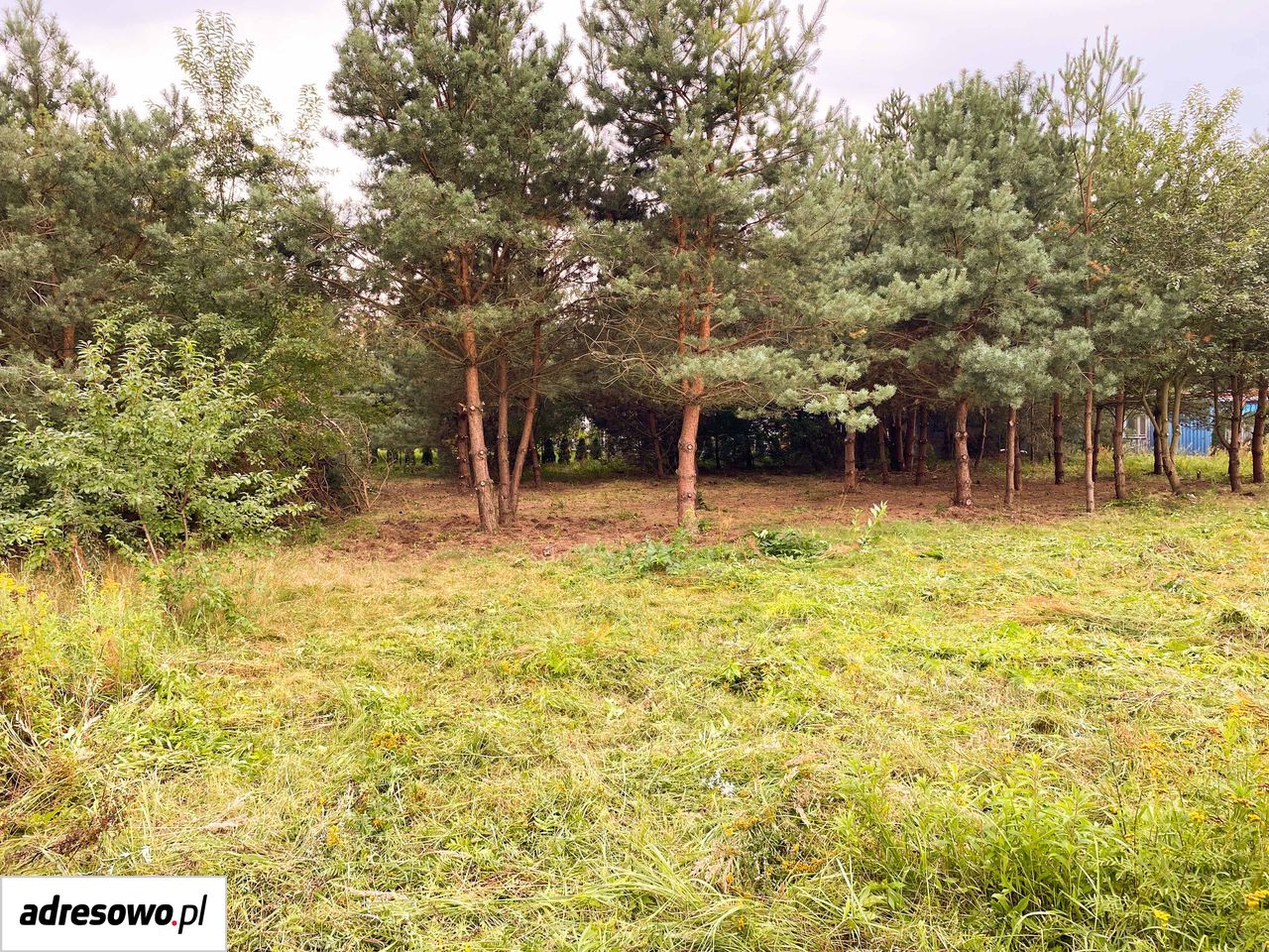 Działka budowlana Prace Duże, ul. Żytnia. Zdjęcie 4