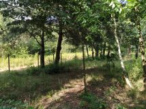 Działka rolna Turowice. Zdjęcie 3