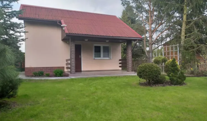 Działka rod Gorzkie Pole, ul. Starych Wierzb