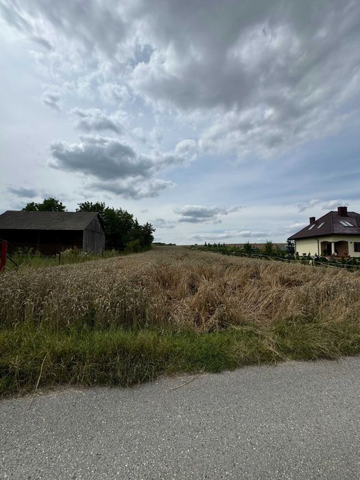 Działka budowlana Wola Więcławska. Zdjęcie 3