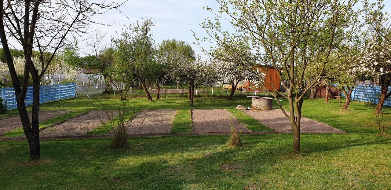 Działka rod Wieluń. Zdjęcie 3