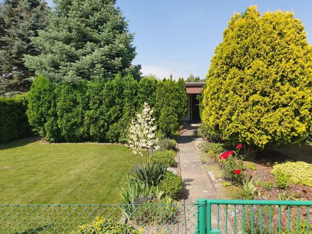 Działka rod Koninko, ul. Porzeczkowa. Zdjęcie 11